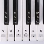 Piano Keyboard Stickers 37-88 Keys Removable Note Labels Beginner Learning Set