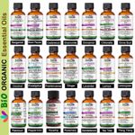 Essential Oils Aromatherapy Pure Essential Oil Fragrances Diffuser Burner UK