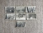 7 Original WWII Aerial Rome Photos Colosseum Vittoriano Recon Aircraft - WW2