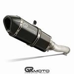 Exhaust for Triumph STREET TRIPLE 675 675R 2013-2016 GRmoto Carbon