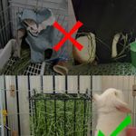 Rabbit Hay Feeder, Food Dispenser Small Animal Feeding Holder
