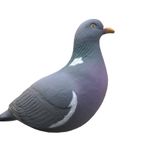 FA-195003 PIGEON DECOYS - 12 PACK - from FINAL APPROACH