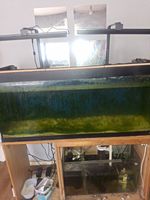 Complete Setup Marine Fish Tank