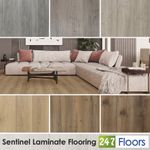 Sentinel 7mm Wood Effect Laminate Flooring Quality Quality Click System Cheap
