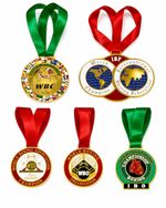 Boxing Championship Medals Set of 5 WBC WBA WBO IBF IBO Diecast Replica Gift