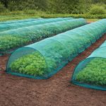 Pest Control Netting Garden Insect Mesh Crop Protection Cloche UV treated  1-50m