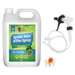 Spider Mite Killer Spray 2.5L | Large Plant Protection | Controls Red Spider... 