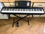 Roland FP-10 88-Key Digital Home Piano Black w/ Stand Pedal & Music Rest
