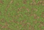 Spring Grass: Wargaming / Battle mat 3x3 44x30 4x4 60x44 6x3 6x4 90x44 8x4 40k