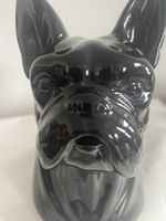 Unique,Fun Water Jug / Black French Bulldog ~ Gloss Finish