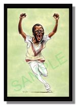 Framed caricature of Malcolm Marshall by John Ireland free p&p UK