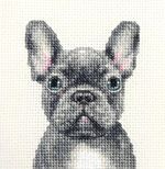 BLUE FRENCH BULLDOG dog puppy  Full cross stitch kit  all materials Fido 