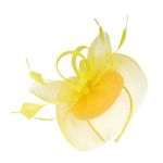 Fascinators Hat Flower Mesh Ribbon Headband and a Clip Tea Party Headwear for