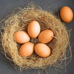 6X Weighted Dummy Chicken Eggs Encourage Hen Broodiness Easy Egg Collection Tool