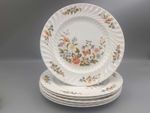 Aynsley Cottage Garden - Set of 6 x 10,1/2" Dinner Plates