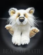 Tarkik a 6- 7 inch Artist Polar Bear By Bears of Bath.