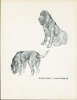 BLOODHOUND  VINTAGE 1937 DOG ART PRINT by ARTIST K F BARKER