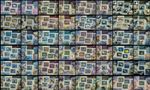 Fauna animals Collection 48 sheets Central Africa MNH Yvert CV 783€ #CNA234