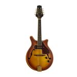 Caraya DMA40E Modernised Electric Mandolin - Sunburst
