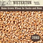 20kg Home-Grown Wheat Feed for Ducks and Hens – Natural Clean Whole Grain