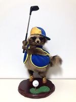 stuffed animal Japanese,Japan Raccoon dog (Nyctereutes procyonoides) taxidermy