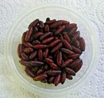 60 Dried Fly Casters Green / Blue bottle .