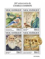 CHARLES DARWIN Naturalist/Explorer/Evolution MNH Stamp Sheet (2019 Mozambique)