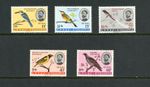 P617  Ethiopia  1966   birds   5v.   MNH