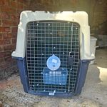 Nomad XXL Hard-Sided Plastic Dog Travel Crate Aviation Carrier MPN 513775