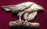 Large Pewter Poised Hawk Falconry Brooch Pin  Signed