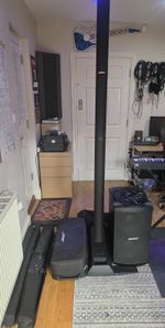 Bose B2 Module & L1 Model 11 System