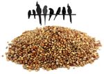 Mixed Millet Seed White Red Panicum Japanese Caged Bird Millet Premium Quality