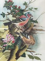 Antique Edwardian Japanese Tites Watering Colour on Silk 1910