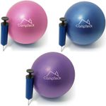 Yoga Pilates Ball 23cm Soft Ball for Gym Fitness Core Exercise With Pump