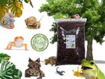 Bugznbits Jungle Earth Substrate, Versatile Substrate, Snails, Frogs, Reptiles