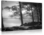 Black & White Lake Pine trees Framed Canvas Print Wall Art Home Decor
