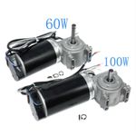 DC 24V High Torque Worm Gear Motor for Intelligent Electric Door Motor +Encoder