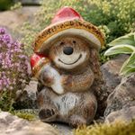 Garden Hedgehog With Mushroom Hat And Holding Mushroom Ideal Hedgehog Gift Idea