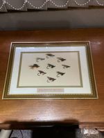 Framed Classic Salmon Fishing Flies for collectors 9 flies Mounted 335 X 245 Mm