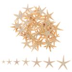 25pcs 1-2cm 2-3cm 3-5cm Mini Starfish Craft Decoration Natural Crafts Sea Stars