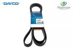 Dayco Range Rover 3.6 Tdv8 Serpentine Belt - PQS500430 3.6 TDV8 Drive Belt