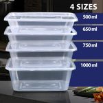 Plastic Food Containers with Lids Takeaway Microwave Freezer Safe Storage Boxes