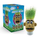 Grow Your Own Grass Head Kids Science Fun Toy Activity Plants Just Add Water
