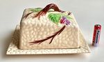 Vintage Wade Bramble Covered Cheese Butter Dish 1950s