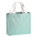 Small Canvas Tote Bag for Women 11 x 2 x 7" Canvas Bags Light Green,