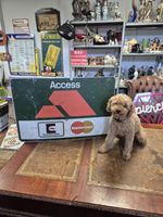 Rare Large  Access - Mastercard - Eurocard Aluminium Original 80s Sign 75x49cm