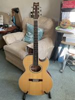 Washburn EA20 Festival Series Cutaway Electro Acoustic Guitar - Natural