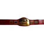 NWA Words Heavyweight Wrestling Champion 4MM Zinc Replica Title Belt Adult Size