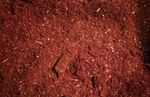 Flake Soil, 1L for Flower, Stag & Rhino beetle breeding larvae grub substrate