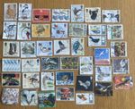 40 BIRD GB Used Stamps Off Paper Collection, Thematics, Different.